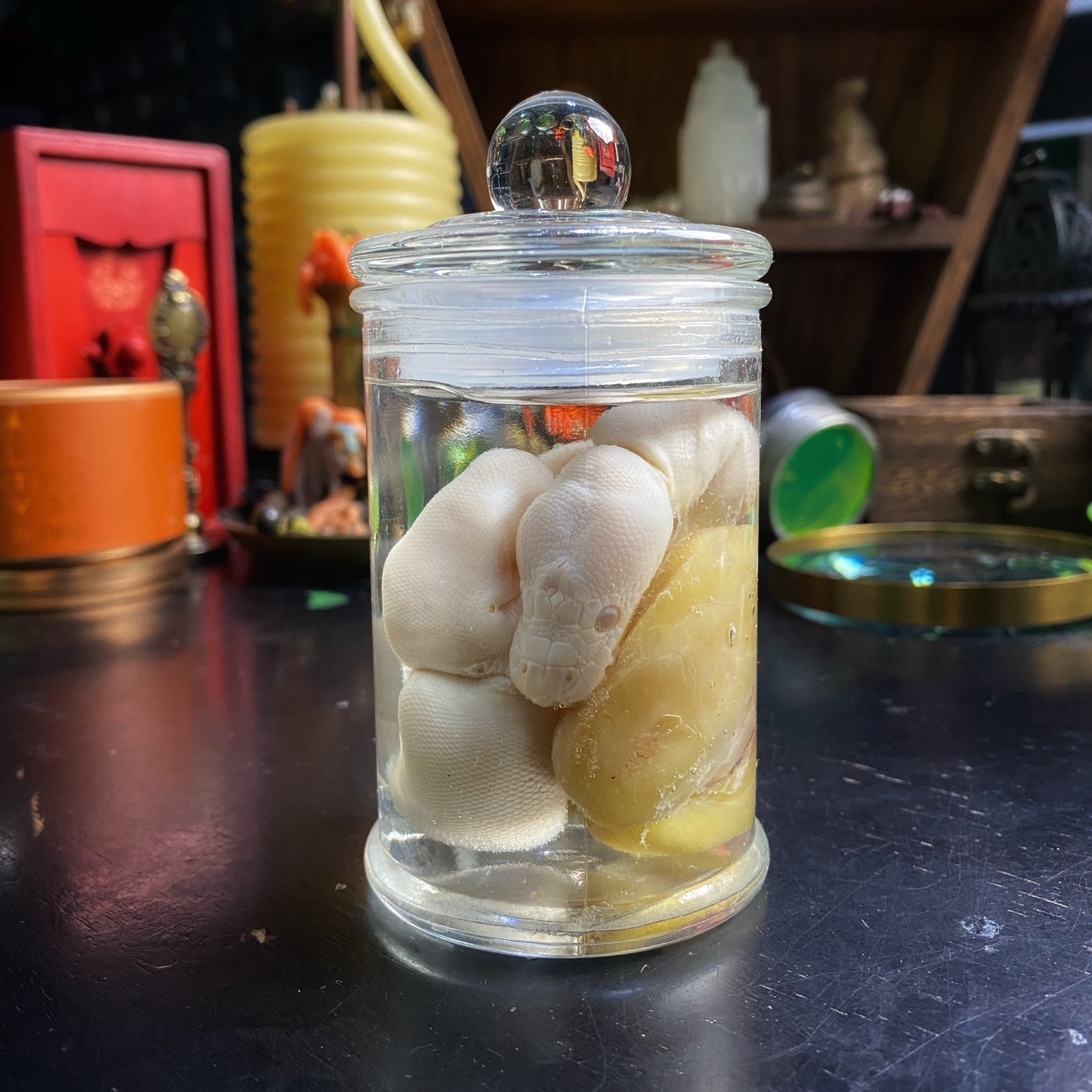 Wet Specimen 1