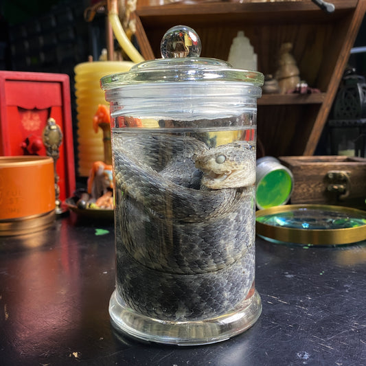 Wet Specimen 2